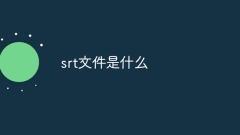 srt文件是什么
