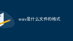 wavのファイル形式は何ですか?