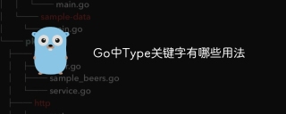 Go中Type关键字有哪些用法