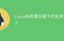 Linux如何看目录下的文件大小