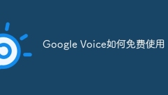 Google Voice如何免費使用