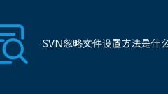 What is the method to set up SVN ignore files?