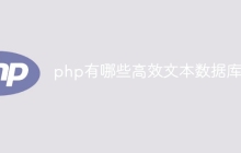 php有哪些高效文本数据库