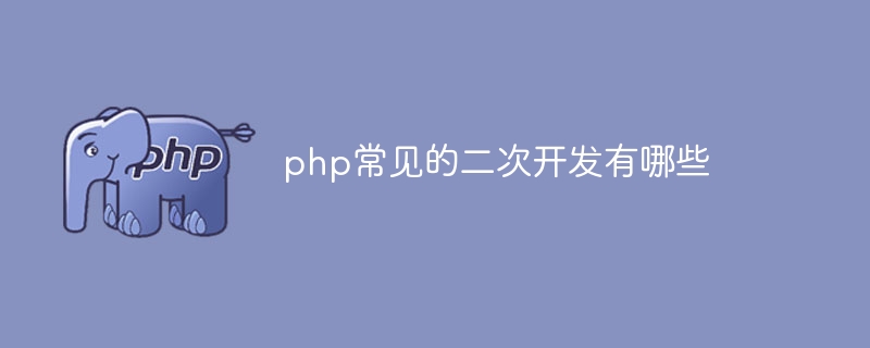 php常见的二次开发有哪些