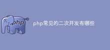 php常見的二次開發有哪些