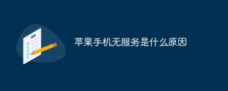 苹果手机无服务是什么原因
