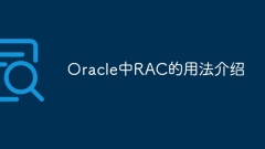 Oracle의 RAC 사용법 소개