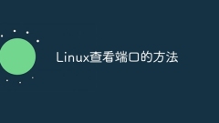 Linux查看連接埠的方法