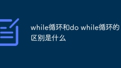 while 루프와 do while 루프의 차이점은 무엇입니까?