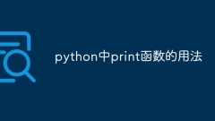 How to use the print function in python