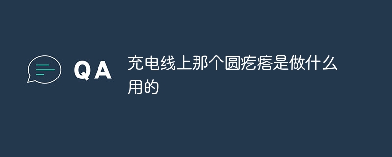 充電ケーブルの丸い突起は何ですか?