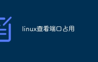 Check port occupancy in linux