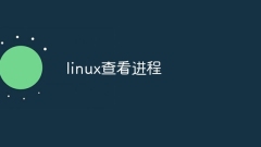 linux查看進程