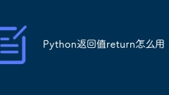 Comment utiliser la valeur de retour en Python