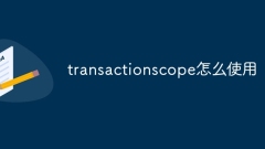 transactionscope怎麼使用