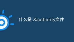 什麼是.Xauthority文件