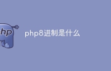 php8进制是什么
