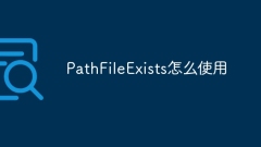How to use PathFileExists