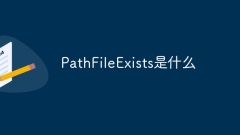 What are PathFileExists