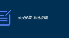 Detaillierte Schritte zur Pip-Installation