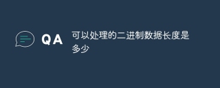可以处理的二进制数据长度是多少
