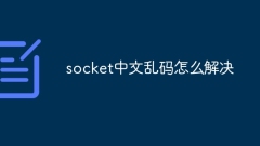 socket中文亂碼怎麼解決