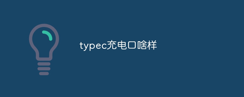 typec充電口啥樣