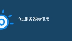 So verwenden Sie einen FTP-Server
