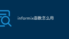 informix 기능을 사용하는 방법