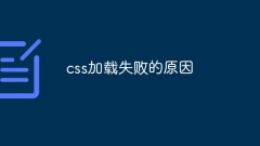 Reasons why css loading failed