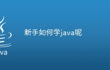新手如何学java呢