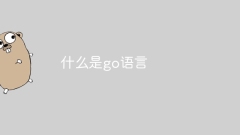 what is go language