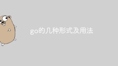 Several forms and usages of go