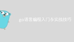 Introduction to go language programming and practical skills