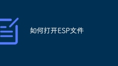 ESP 파일을 여는 방법