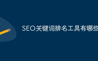 SEO 키워드 순위 도구는 무엇입니까?