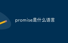 promise是什么语言