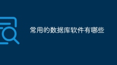 일반적으로 사용되는 데이터베이스 소프트웨어는 무엇입니까?