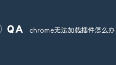 What to do if chrome cannot load plugins