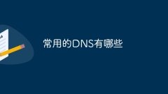 常用的DNS有哪些