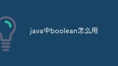 How to use boolean in java