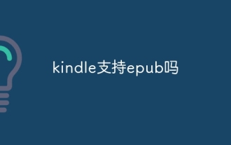 킨들은 epub을 지원하나요?