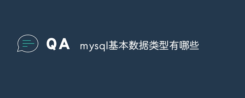 mysql의 기본 데이터 유형은 무엇입니까?