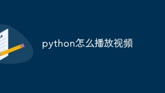How to play video in python