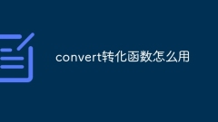 So verwenden Sie die Konvertierungsfunktion „Konvertieren'.