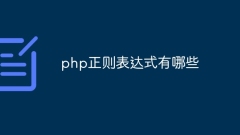 PHP의 정규 표현식은 무엇입니까
