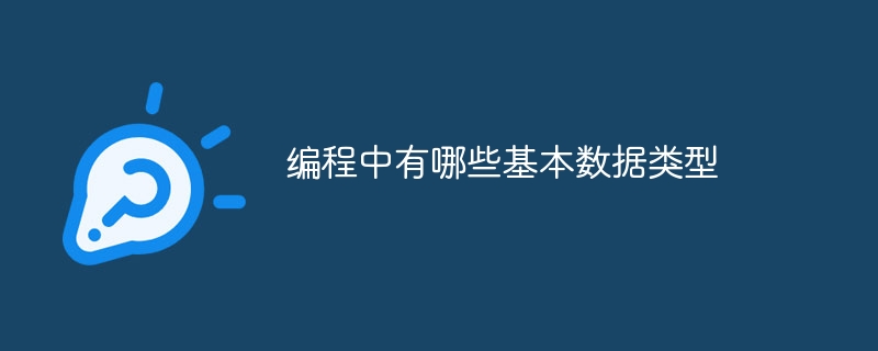 プログラミングにおける基本的なデータ型は何ですか?