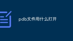 PDB 파일을 여는 방법