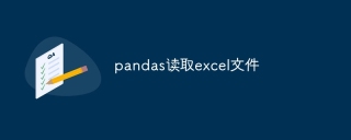 How to read excel files with pandas