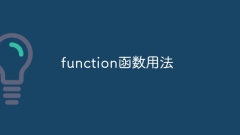 Funktionsfunktionsverwendung